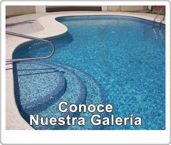 1 Conoce nuestra galeria